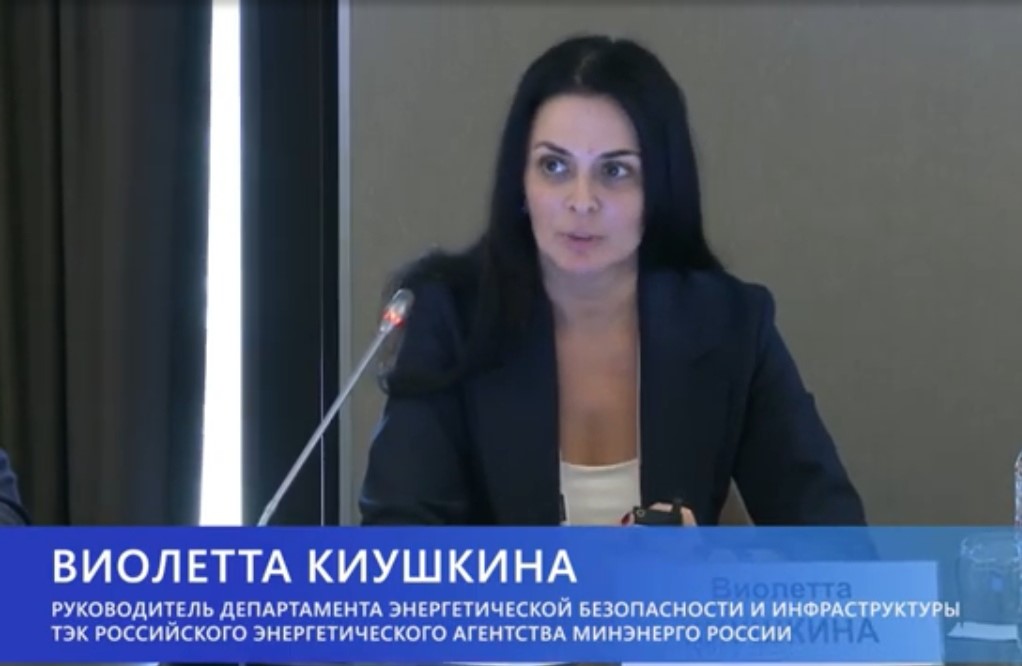 Виолетта Киушкина: Энергетическая безопасность является условием стабильной социально-экономической жизни населения